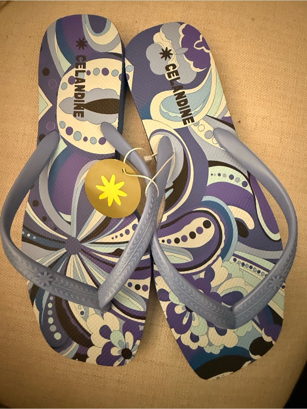 NWT Célaine Blue Floral Print Flip Flops Women’s Size 10 Retro Beach Sandals